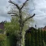 Apartment Am Dillich - Hunde Willkommen - Eigener Eingezaeunter Garten - Ruhige Lage Borken (Hessen)