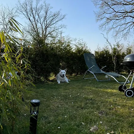 Am Dillich - Hunde Willkommen - Eigener Eingezaeunter Garten - Ruhige Lage Διαμέρισμα Borken (Hessen)