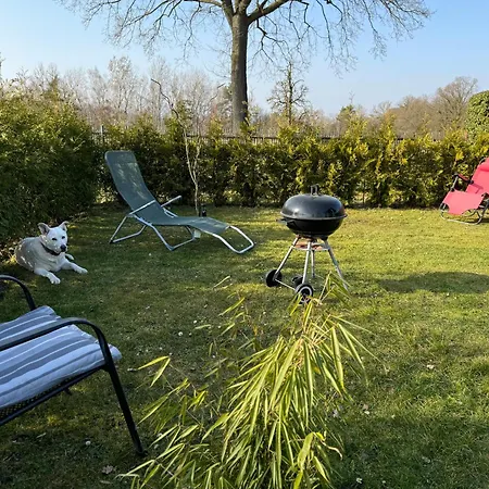 Ferienwohnung Am See Dillich - Hunde Willkommen - Eigener Eingezaeunter Garten - Ruhige Lage *