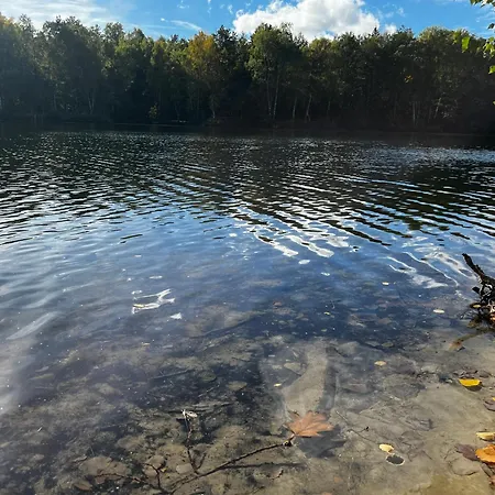 Am Dillich - Hunde Willkommen - Eigener Eingezaeunter Garten - Ruhige Lage