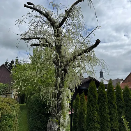 Apartmán Am Dillich - Hunde Willkommen - Eigener Eingezaeunter Garten - Ruhige Lage Borken (Hessen)