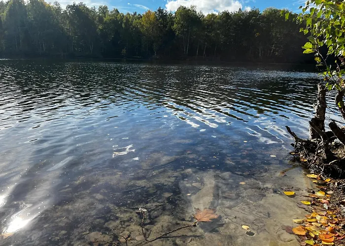 Am Dillich - Hunde Willkommen - Eigener Eingezaeunter Garten - Ruhige Lage