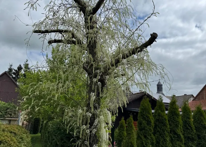 アパート Am Dillich - Hunde Willkommen - Eigener Eingezaeunter Garten - Ruhige Lage Borken